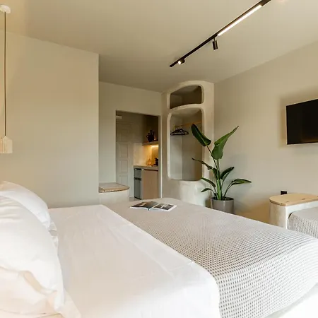 Διαμέρισμα Livadi Island Living Naxos City
