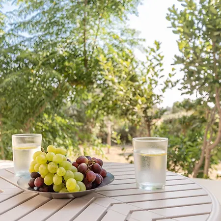 Livadi Island Living Naxos City